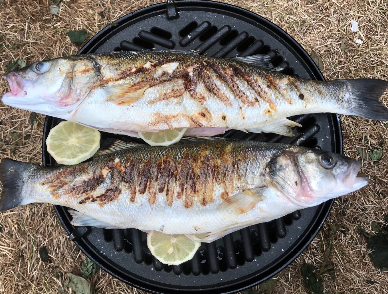 Compleet 4 gangen vismenu met gegrilde zeebaars en meer lekkers